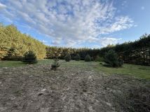 Działka rolno-budowlana Wólka Kobyla. Zdjęcie 3