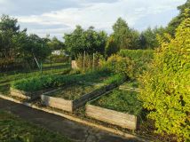 Działka rod Tarnobrzeg. Zdjęcie 4