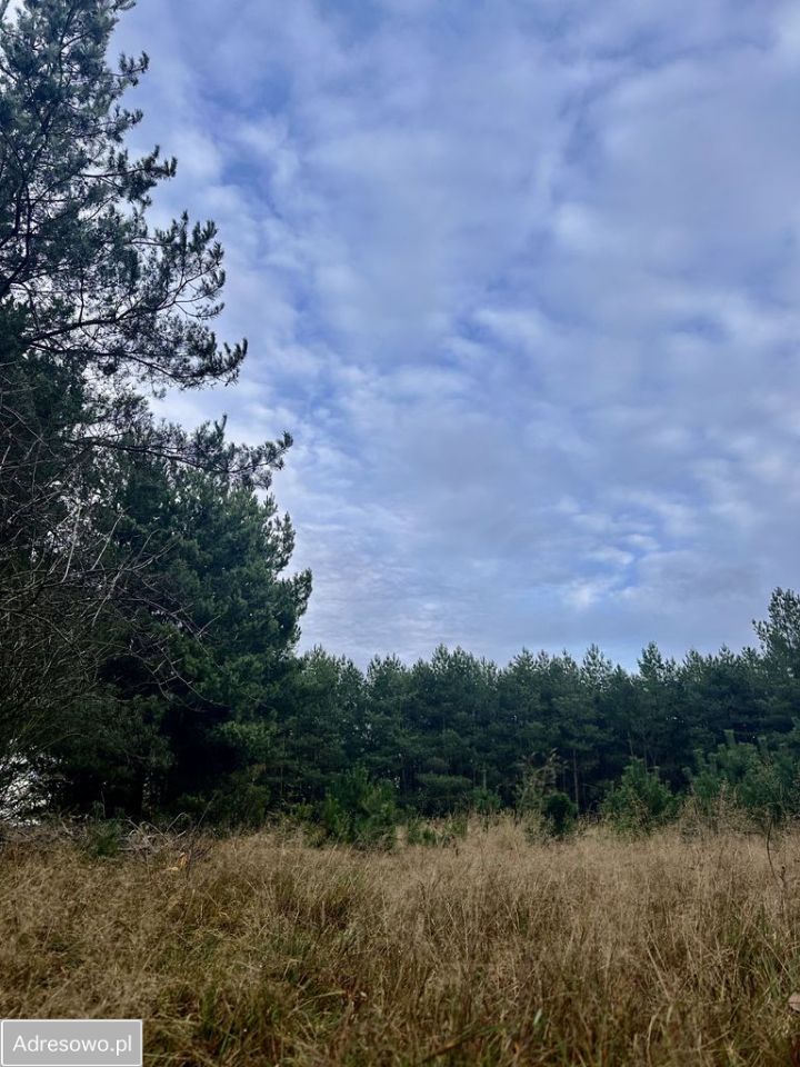 Działka budowlana Radzyny. Zdjęcie 4