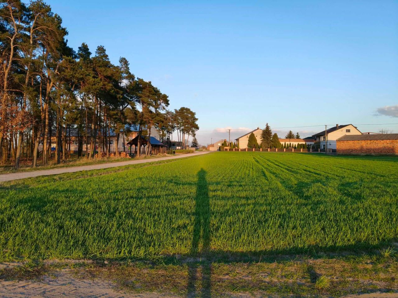 Działka budowlana Poladowo. Zdjęcie 6