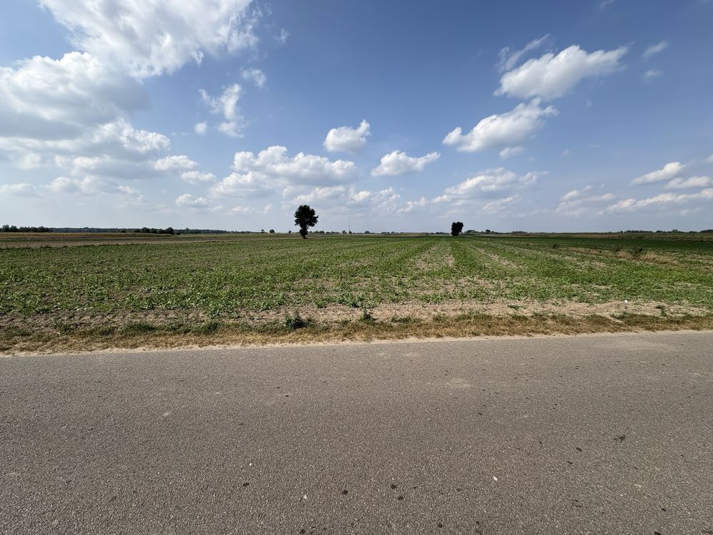 Działka rolno-budowlana Tuchowicz. Zdjęcie 4