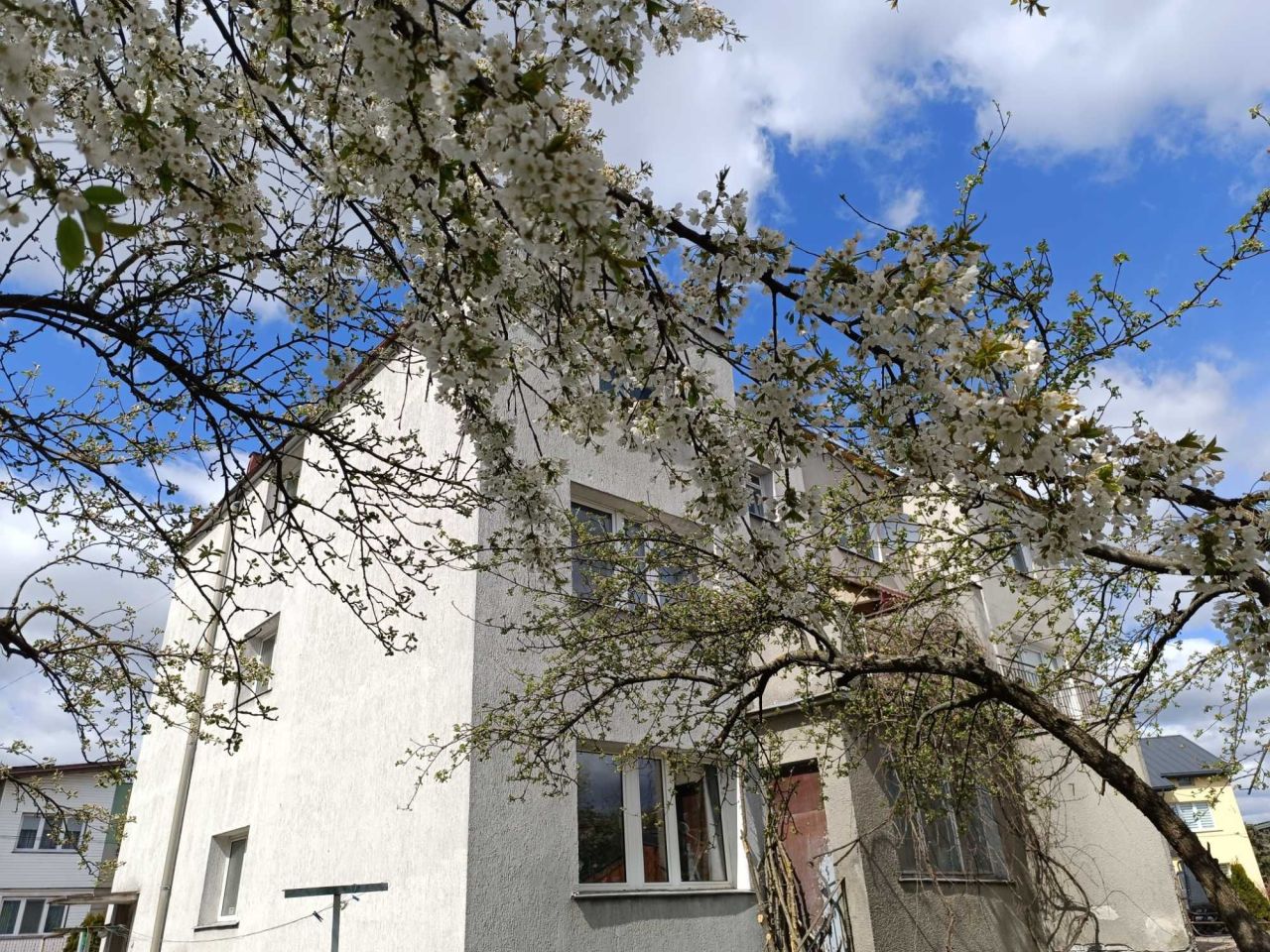 bliźniak Białystok Bacieczki. Zdjęcie 1