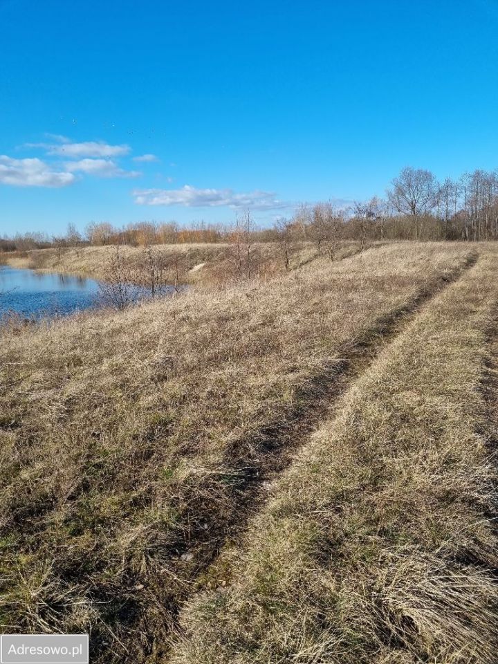 Działka Bilno. Zdjęcie 11