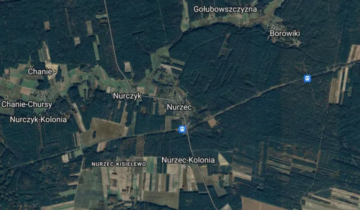 Działka leśna Nurzec