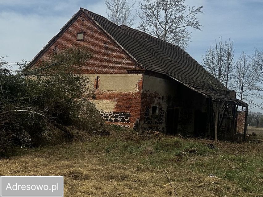 Działka rolno-budowlana Henrykowice. Zdjęcie 4