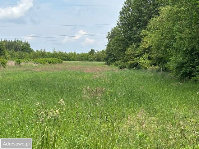 Działka rolno-budowlana Kolonia Brużyca, ul. Grzegorza Ciechowskiego. Zdjęcie 1
