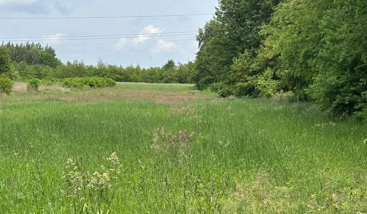 Działka rolno-budowlana Kolonia Brużyca, ul. Grzegorza Ciechowskiego