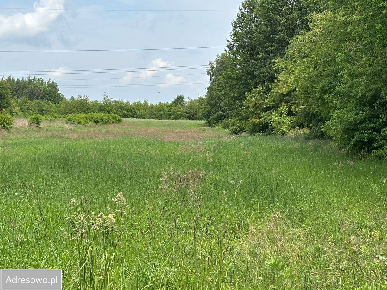 Działka rolno-budowlana Kolonia Brużyca, ul. Grzegorza Ciechowskiego