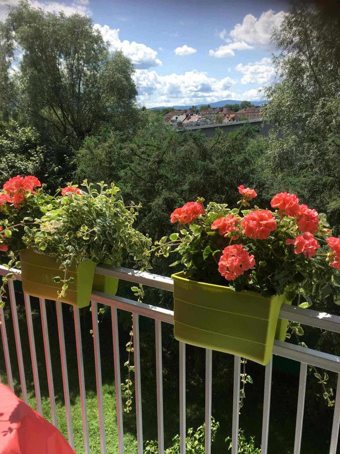 Mieszkanie 3-pokojowe Nowy Sącz, ul. Tadeusza Rejtana. Zdjęcie 4