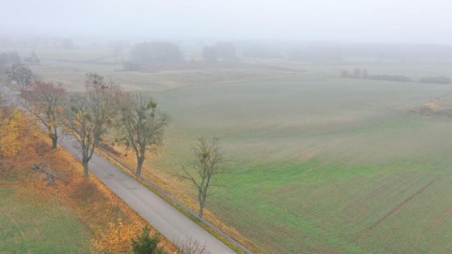 Działka rolna Dziubiele. Zdjęcie 6