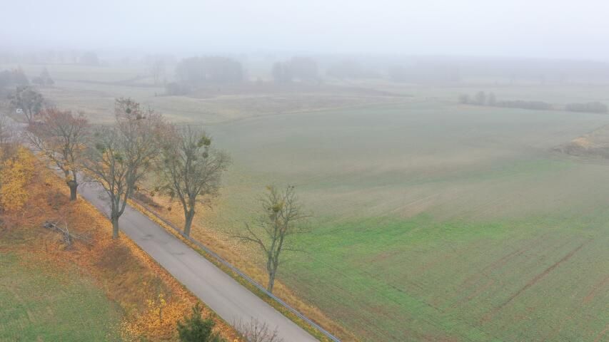 Działka rolna Dziubiele. Zdjęcie 6