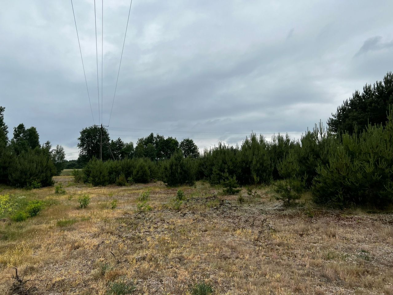 Działka budowlana Łąkie, Łąkie. Zdjęcie 9