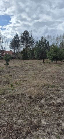 Działka budowlana Siestrzeń. Zdjęcie 1