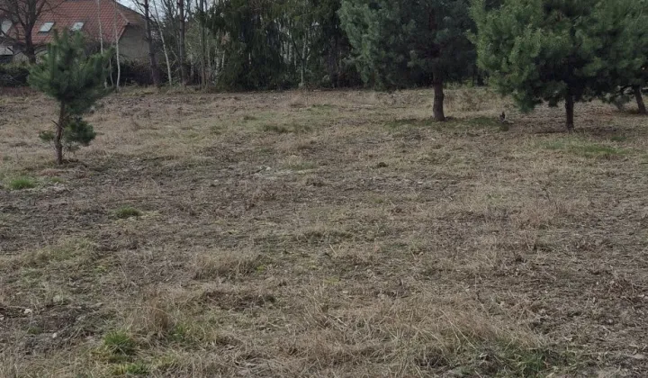 Działka budowlana Siestrzeń