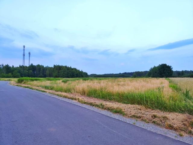Działka rolna Jamnica. Zdjęcie 2