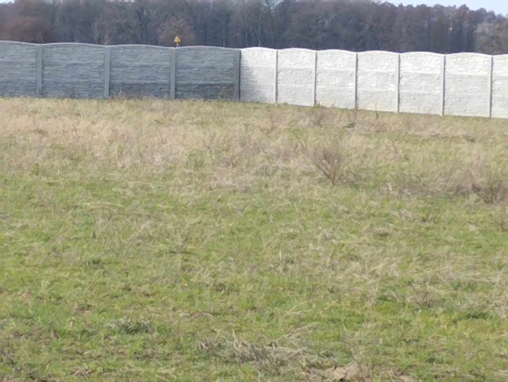 Działka rolno-budowlana Białawy Wielkie. Zdjęcie 5