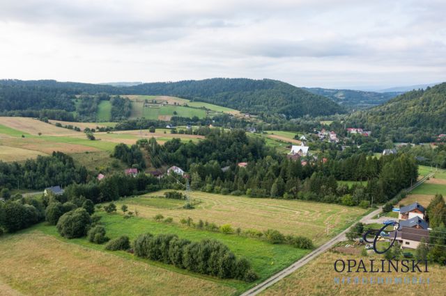 Działka inwestycyjna Bukowiec. Zdjęcie 5