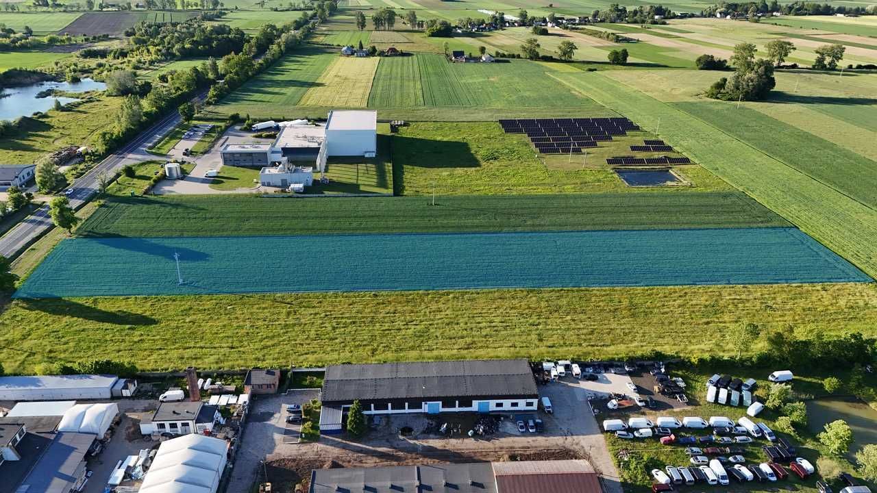 Działka inwestycyjna Daszyna. Zdjęcie 7