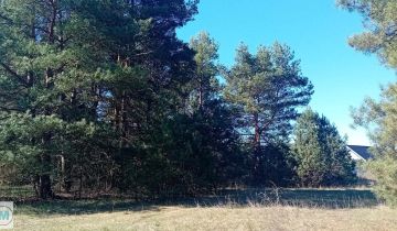 Działka leśna Morawica