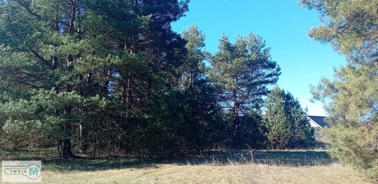 Działka leśna Morawica. Zdjęcie 2