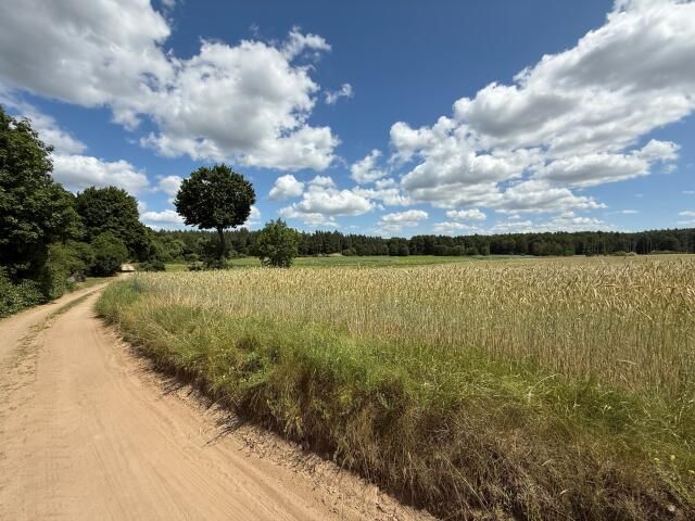 Działka budowlana Zielkowo. Zdjęcie 9