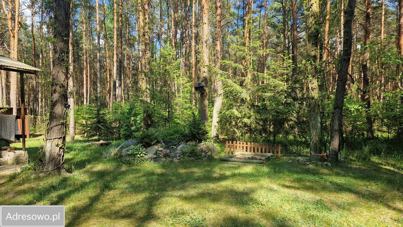Działka leśna Rokitnica, ul. Gucińska. Zdjęcie 15