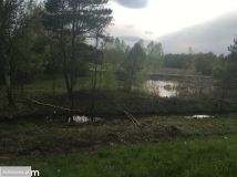Działka rekreacyjna Krzczeń. Zdjęcie 4