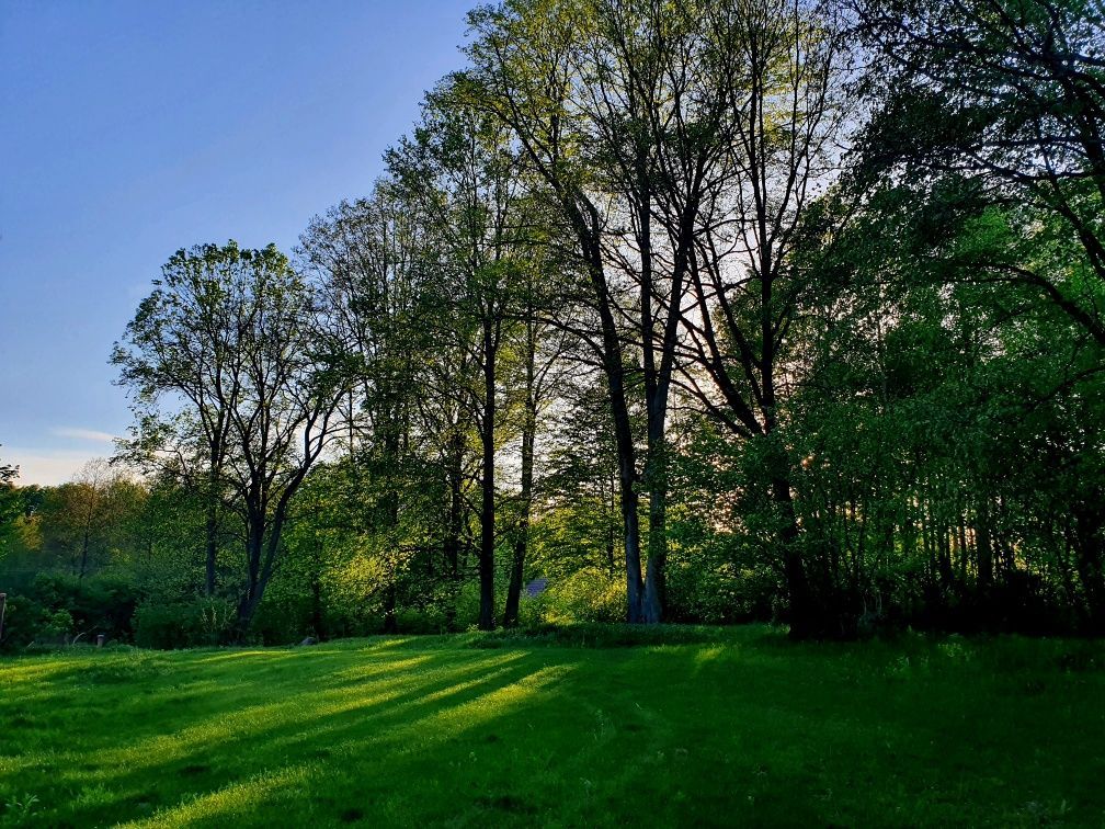 Działka budowlana Rydzynki. Zdjęcie 3