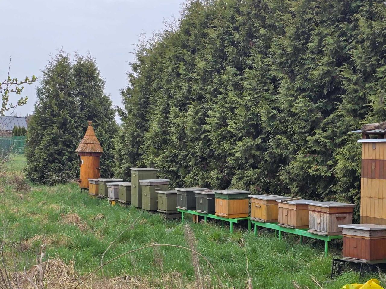 Działka rekreacyjna Borek Wielkopolski