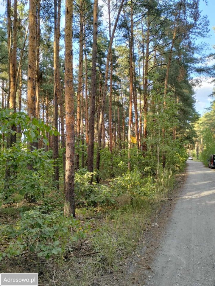 Działka budowlana Józefów, ul. Podleśna. Zdjęcie 3