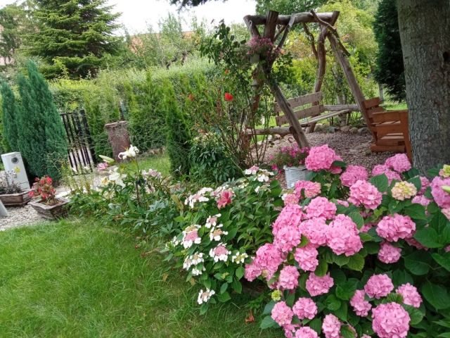 Działka rod Elbląg Zatorze, ul. Aleksandra Fredry. Zdjęcie 1