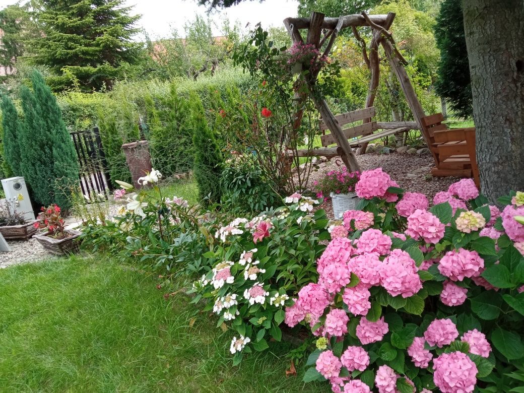 Działka rod Elbląg Zatorze, ul. Aleksandra Fredry