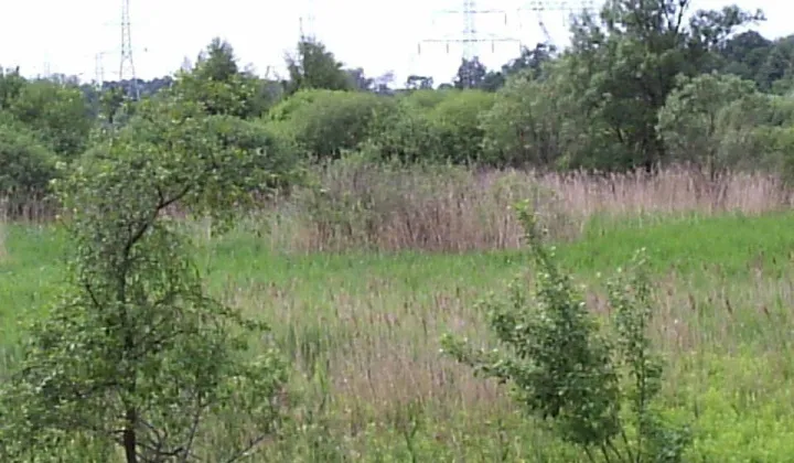 Działka rolna Konin Gosławice, ul. Gosławicka