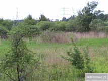 Działka rolna Konin Gosławice, ul. Gosławicka