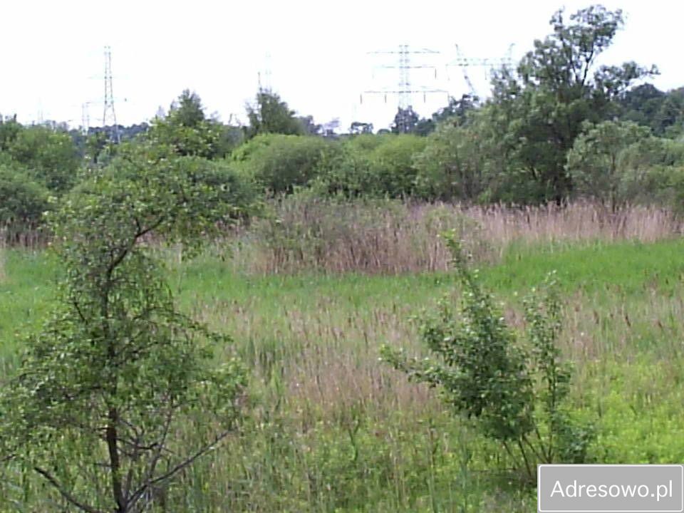 Działka rolna Konin Gosławice, ul. Gosławicka