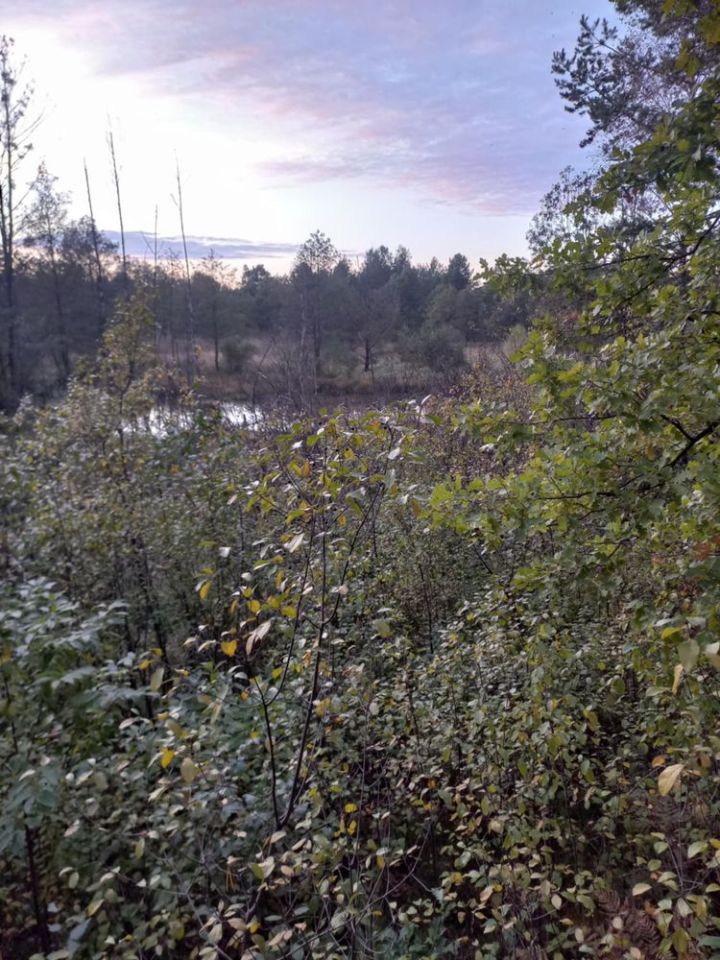 Działka rolna Górki. Zdjęcie 7