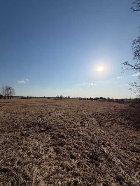 Działka rolna Brzuza. Zdjęcie 1