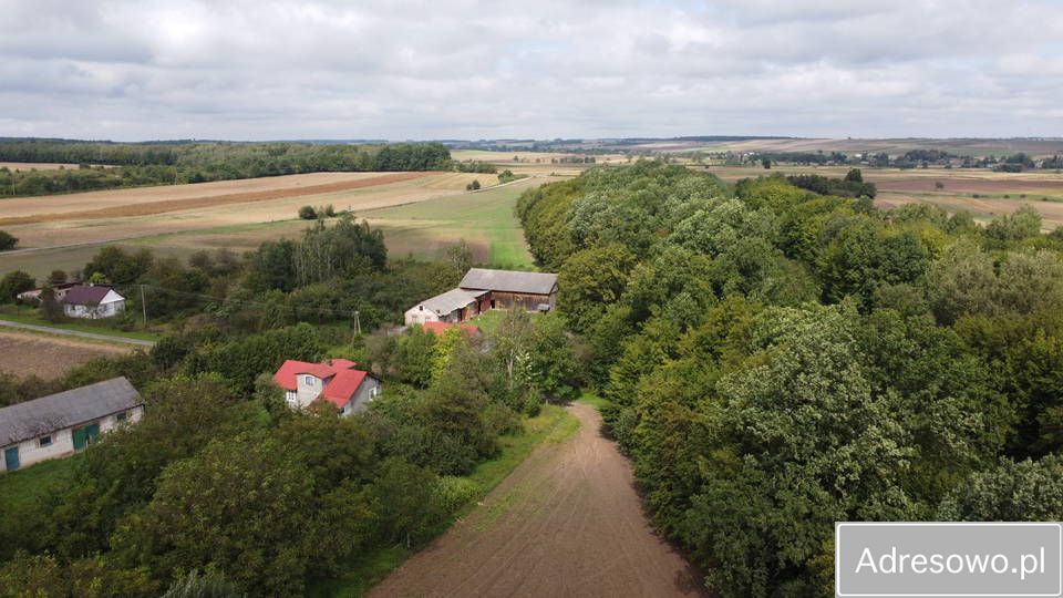 Działka siedliskowa Płonka. Zdjęcie 5