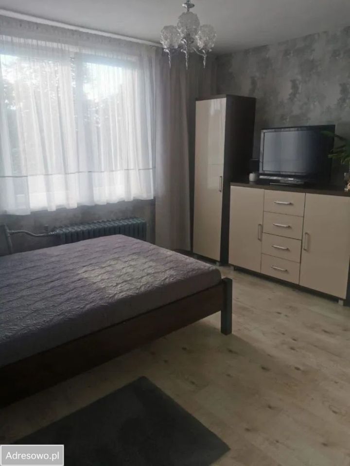 bliźniak Buczek. Zdjęcie 8