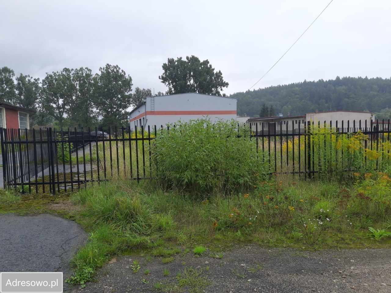 Hala/magazyn Kamienna Góra, ul. Zielona. Zdjęcie 14