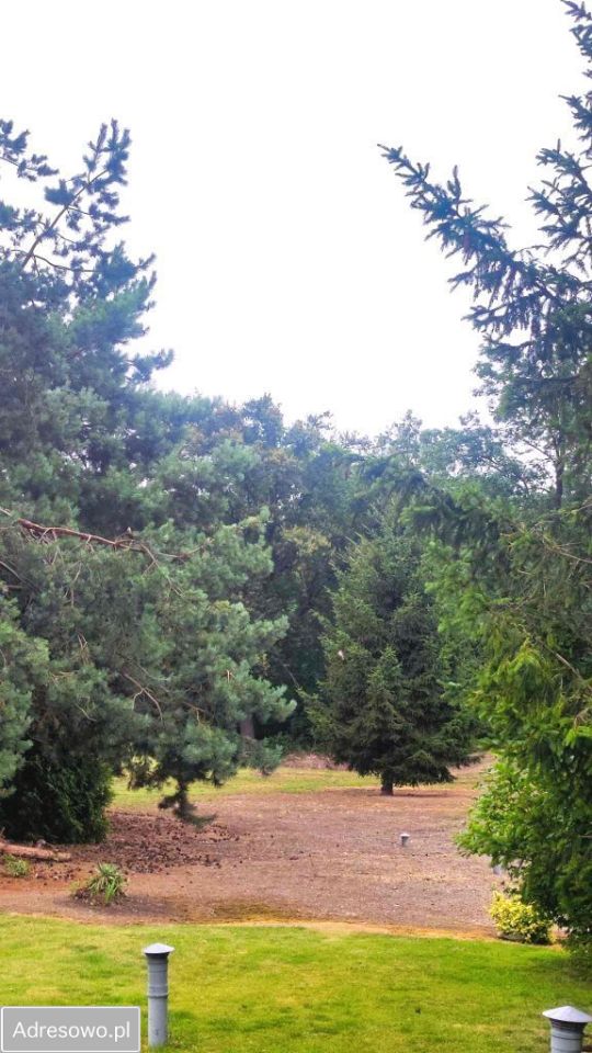 Działka budowlana Mirosławice. Zdjęcie 3