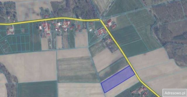 Działka rolna Wargowo. Zdjęcie 1
