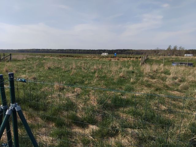 Działka rekreacyjna Karwieńskie Błoto Drugie. Zdjęcie 1