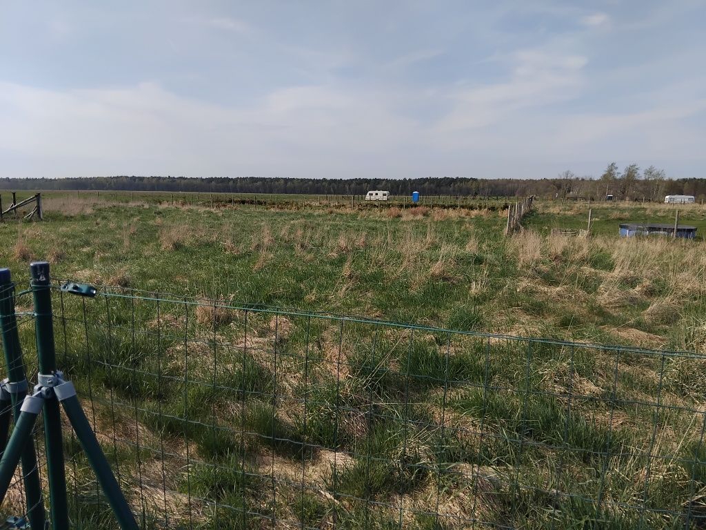 Działka rekreacyjna Karwieńskie Błoto Drugie