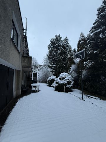 dom wolnostojący, 6 pokoi Katowice Ligota, ul. Piotrowicka. Zdjęcie 3