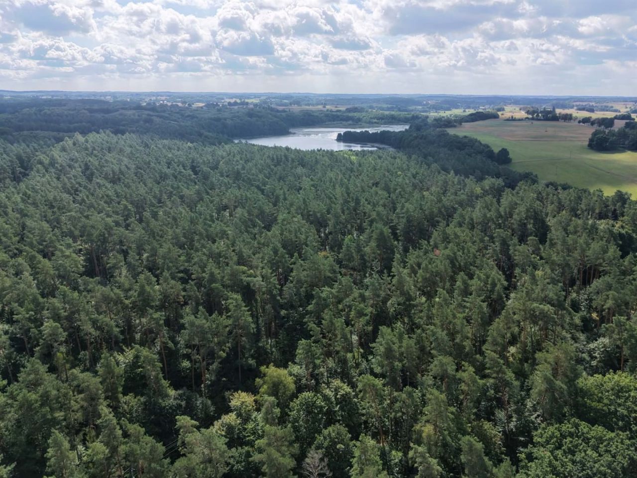 Działka budowlana Więcław. Zdjęcie 4