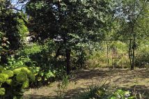 Działka rod Wrocław Śródmieście, ul. Odona Bujwida. Zdjęcie 4