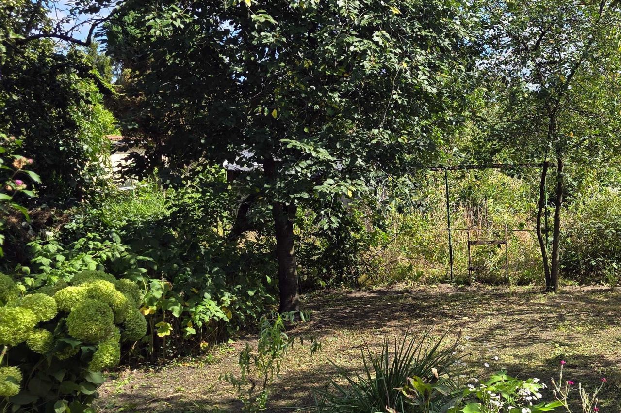 Działka rod Wrocław Śródmieście, ul. Odona Bujwida. Zdjęcie 5