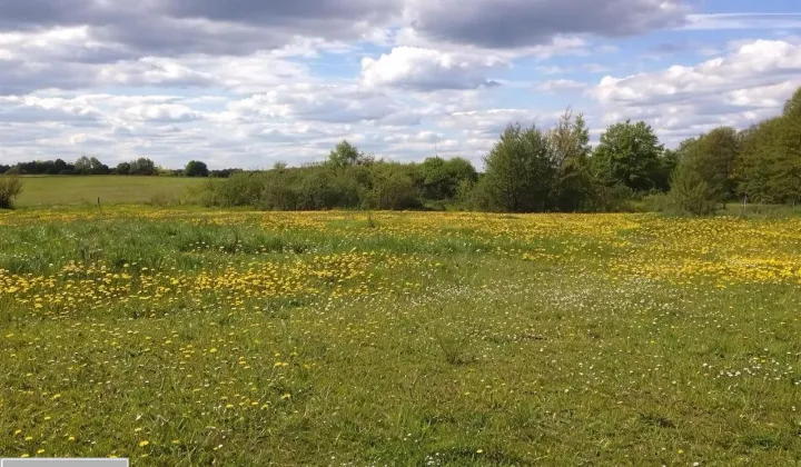 Działka rolno-budowlana Osiniak-Piotrowo