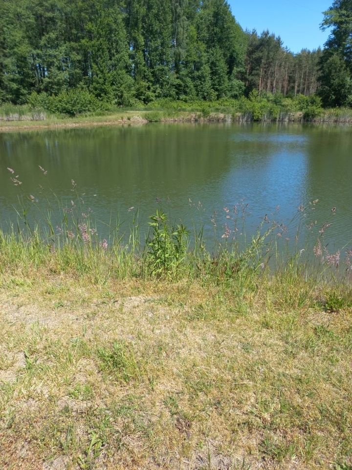 Działka budowlana Nekielka. Zdjęcie 5